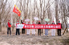 春生万物 2025茶主张植树公益行